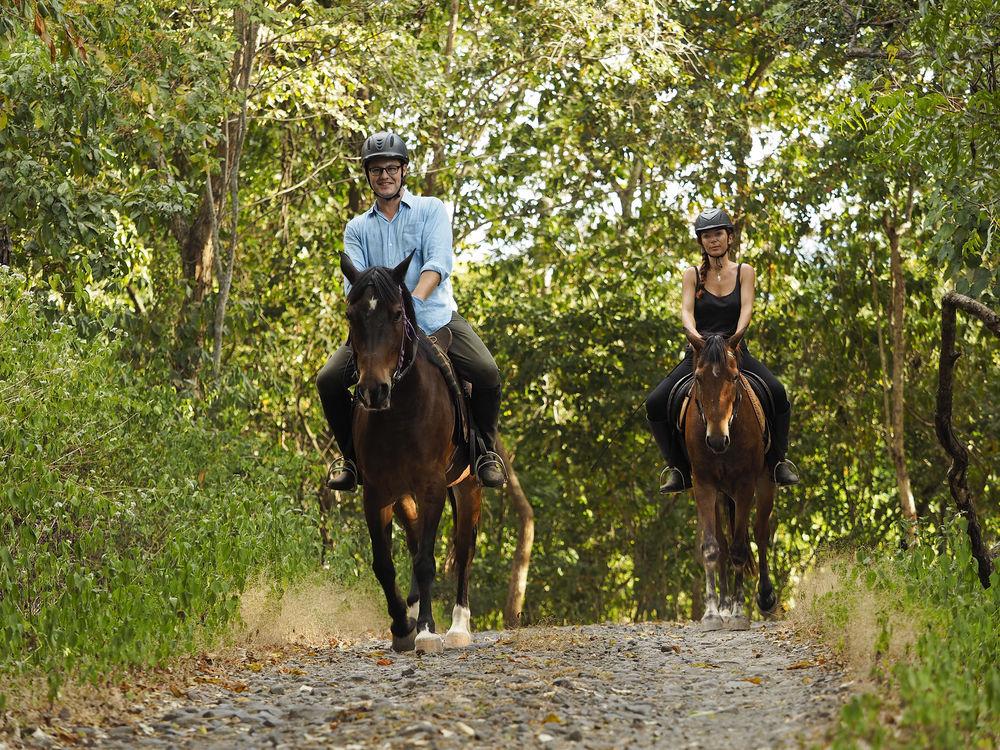 The Menjangan By Lifestyleretreats Ξενοδοχείο Banyuwedang Εξωτερικό φωτογραφία