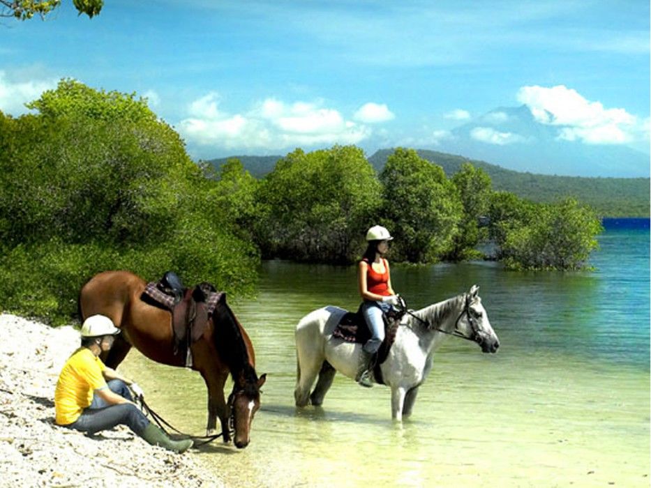 The Menjangan By Lifestyleretreats Ξενοδοχείο Banyuwedang Εξωτερικό φωτογραφία